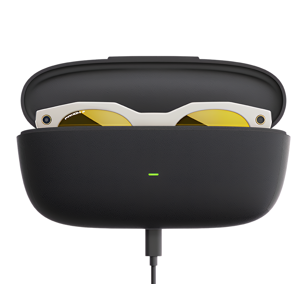 Oakley Meta HSTN custodia di ricarica