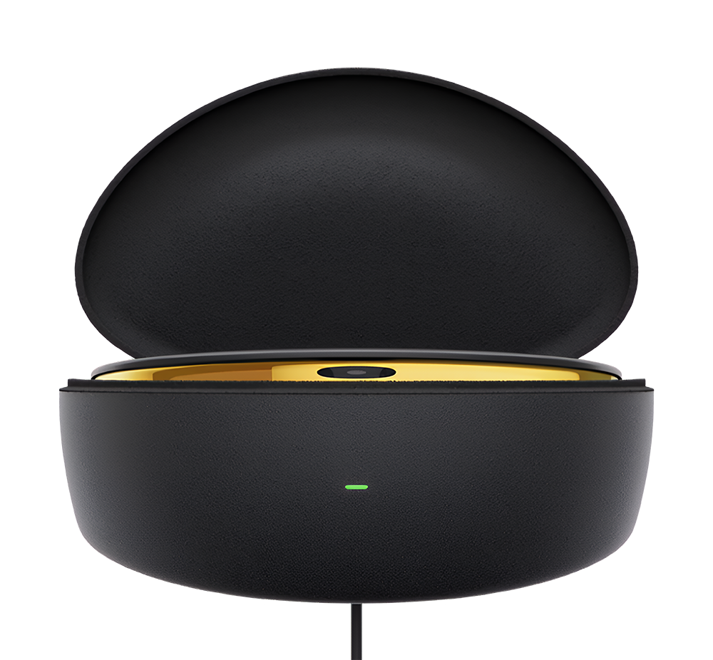 Oakley Meta Vanguard custodia